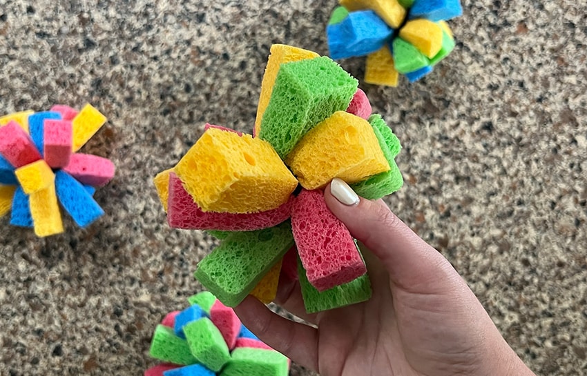 https://www.newhorizonacademy.net/wp-content/uploads/2023/08/colorful-sponge-water-balls.jpg